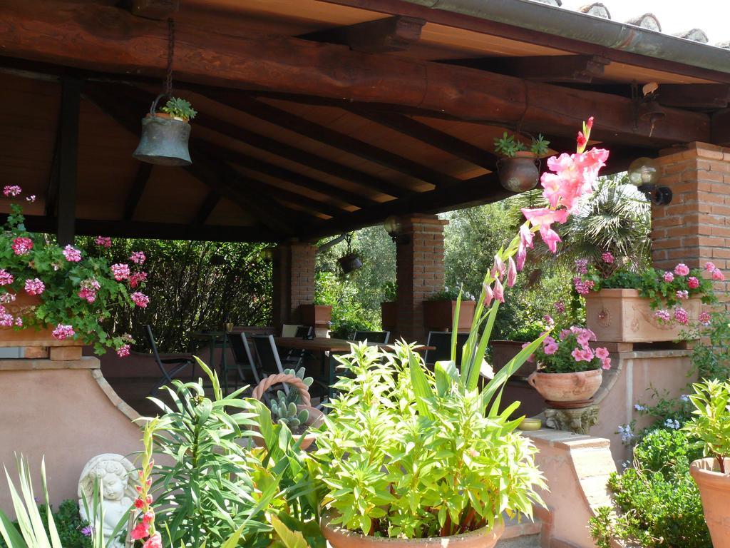 Da Lorena Farm stay Marsiliana