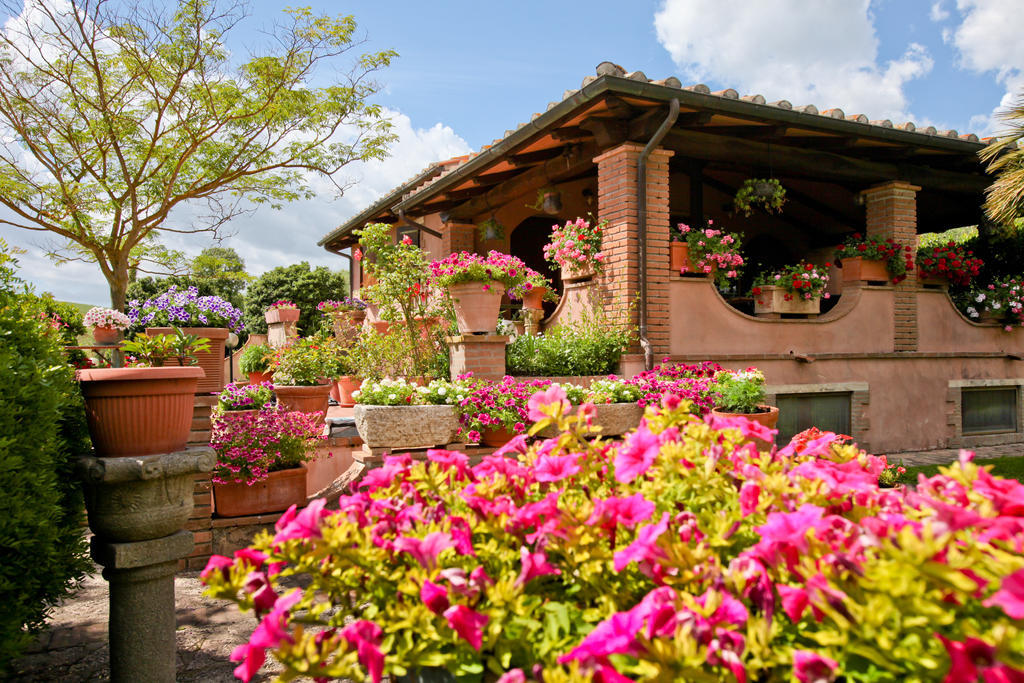 Farm stay Da Lorena Marsiliana